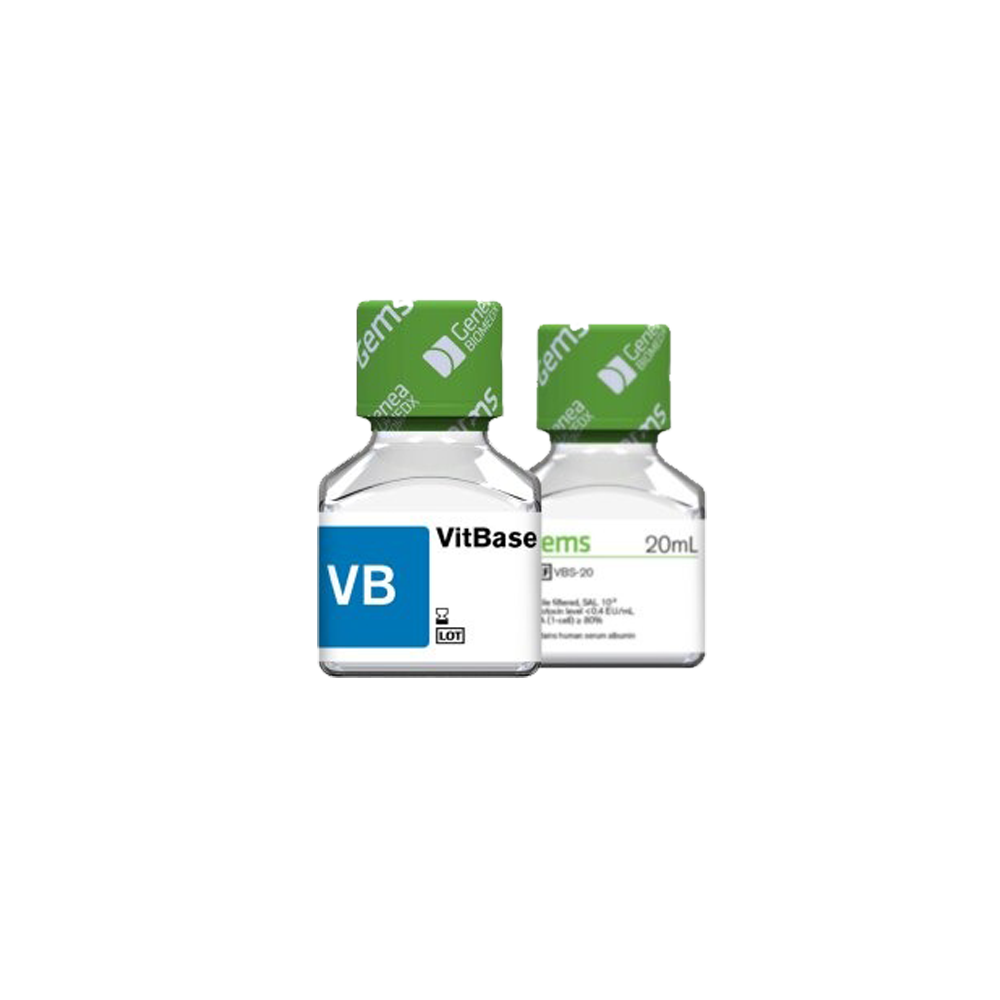 Vitbase