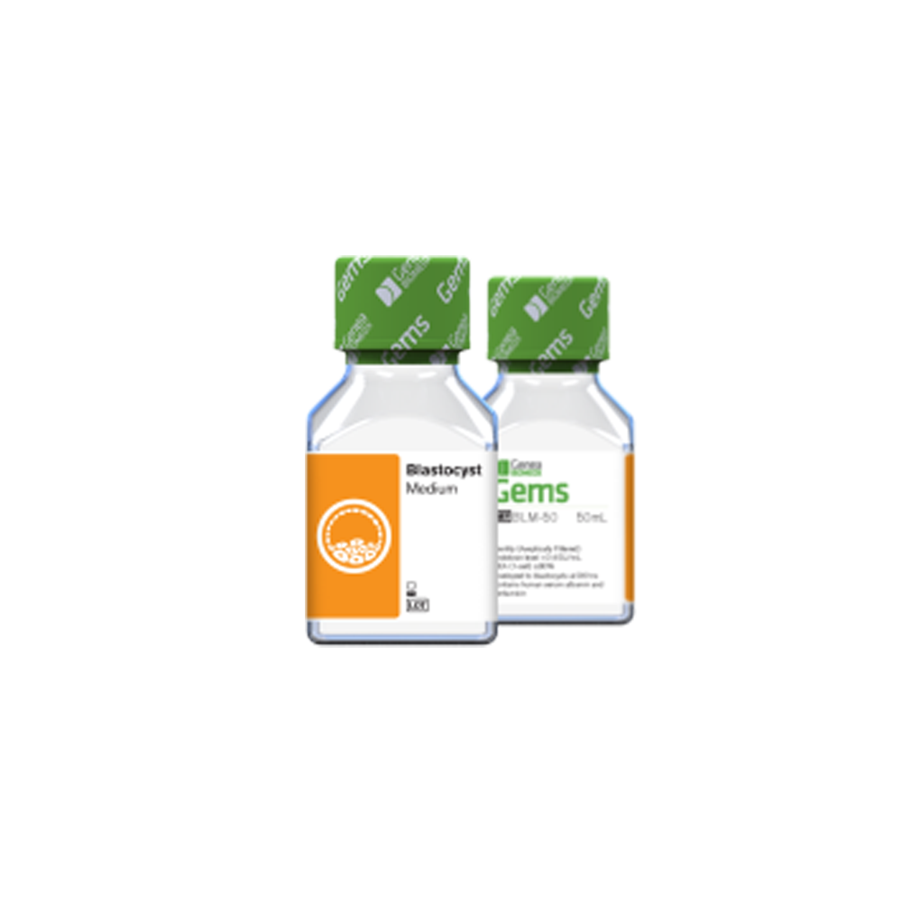 Gems-Blastocyst-Medium-50-240x240