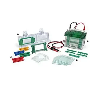 Sistema de electroforesis vertical - mini-protean