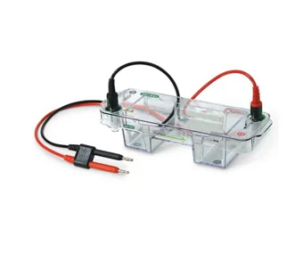 Sistema de electroforesis horizontal - mini-sub cell gt cell
