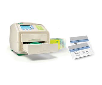 Western Blot