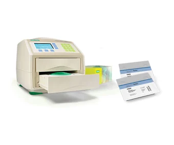 Western Blot