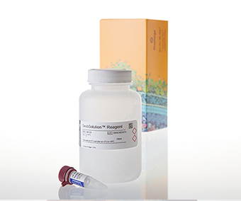 Reactivo 5X AmpSolution™, kit PunchSolution™ y kit SwabSolution™