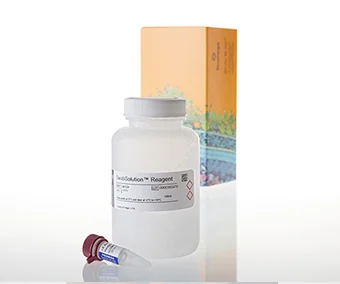 Reactivo 5X AmpSolution™, kit PunchSolution™ y kit SwabSolution™