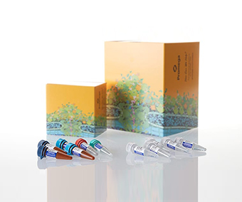 Kit para análisis de STR 2