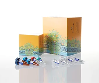 Kit para análisis de STR 2