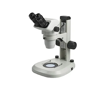 Estereoscopio