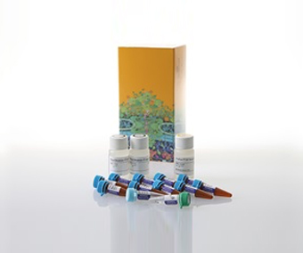 Kit de secuenciamiento sanger
