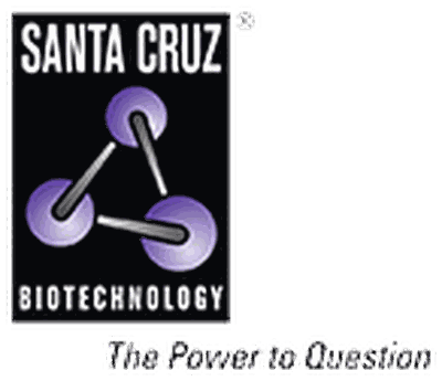 Santa Cruz
