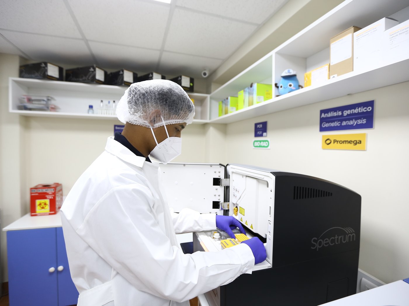 Técnico de Mased calibrando un termociclador Bio-Rad T100 durante el servicio técnico