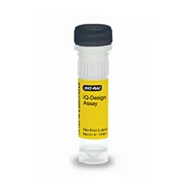 Sondas iQ-Design para Aspergillus flavus